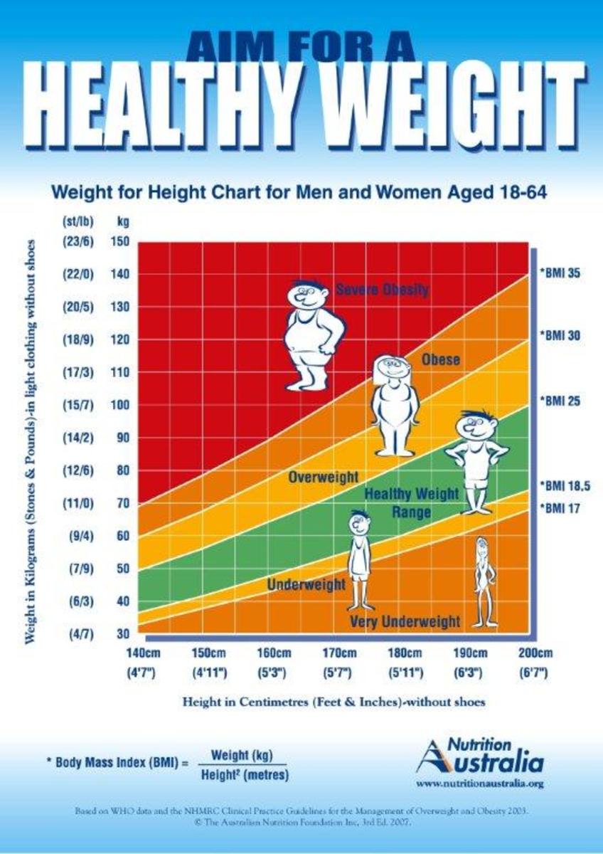 What Is BMI? With Charts and Posters | HubPages