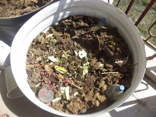 These bins are kept on one of my balconies and I keep on adding kitchen waste in it for months before using for planting. This year, I am planning to use these as planting containers for tomatoes as well as some creeping plants