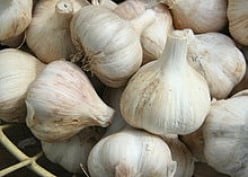 How Do I Grow Garlic ?