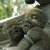 Statue of Vampire Children in Indonesia Statue of Vampire Children in Indonesia