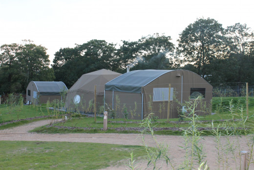 Safari-style tents 