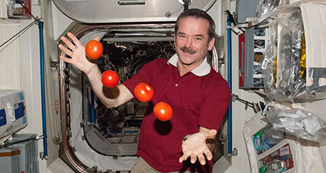 Do South Koreans want to juggle tomoatoes in outer space like the ISS astronaut on Expedition 35?
