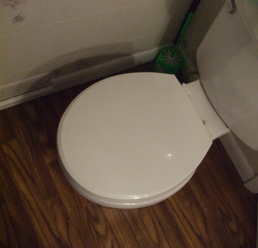 New flooring and new toilet.