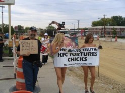 Naked truth KFC Tortures Chicks