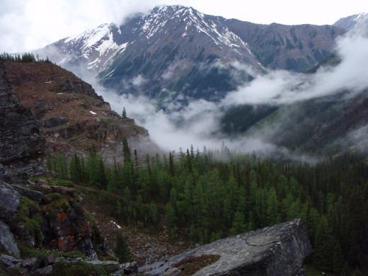 Mist rises over the Rocky Mountains in Yoho National Park