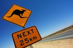 Immigration to Australia – Five Reasons why you should consider Migration Australia