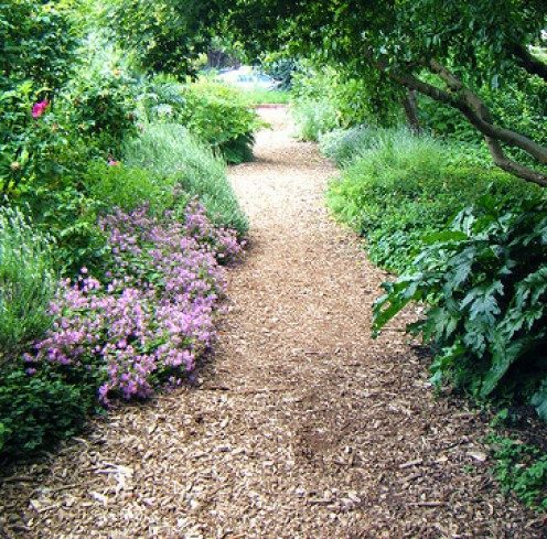 Un chemin de paillis à l'aide des plantations en bordure.