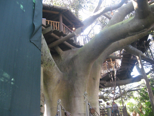 Swiss Family Treehouse