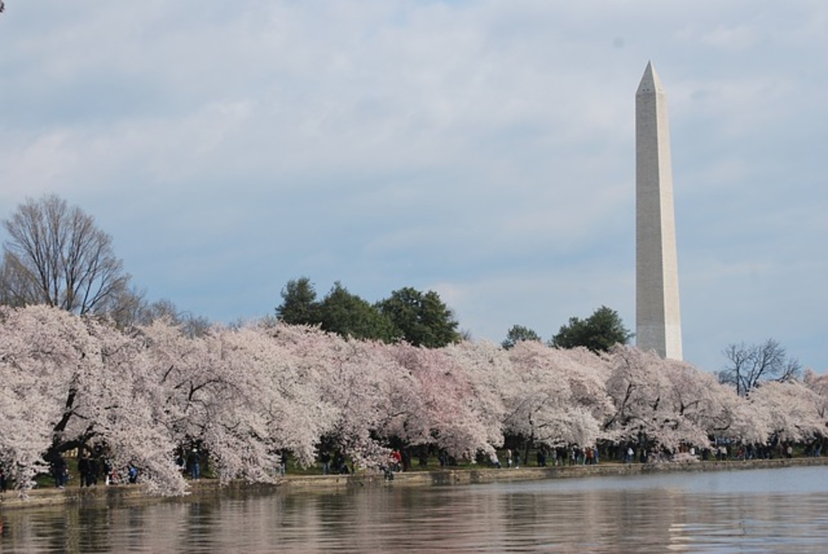 Earth Month in Washington DC on the National Mall