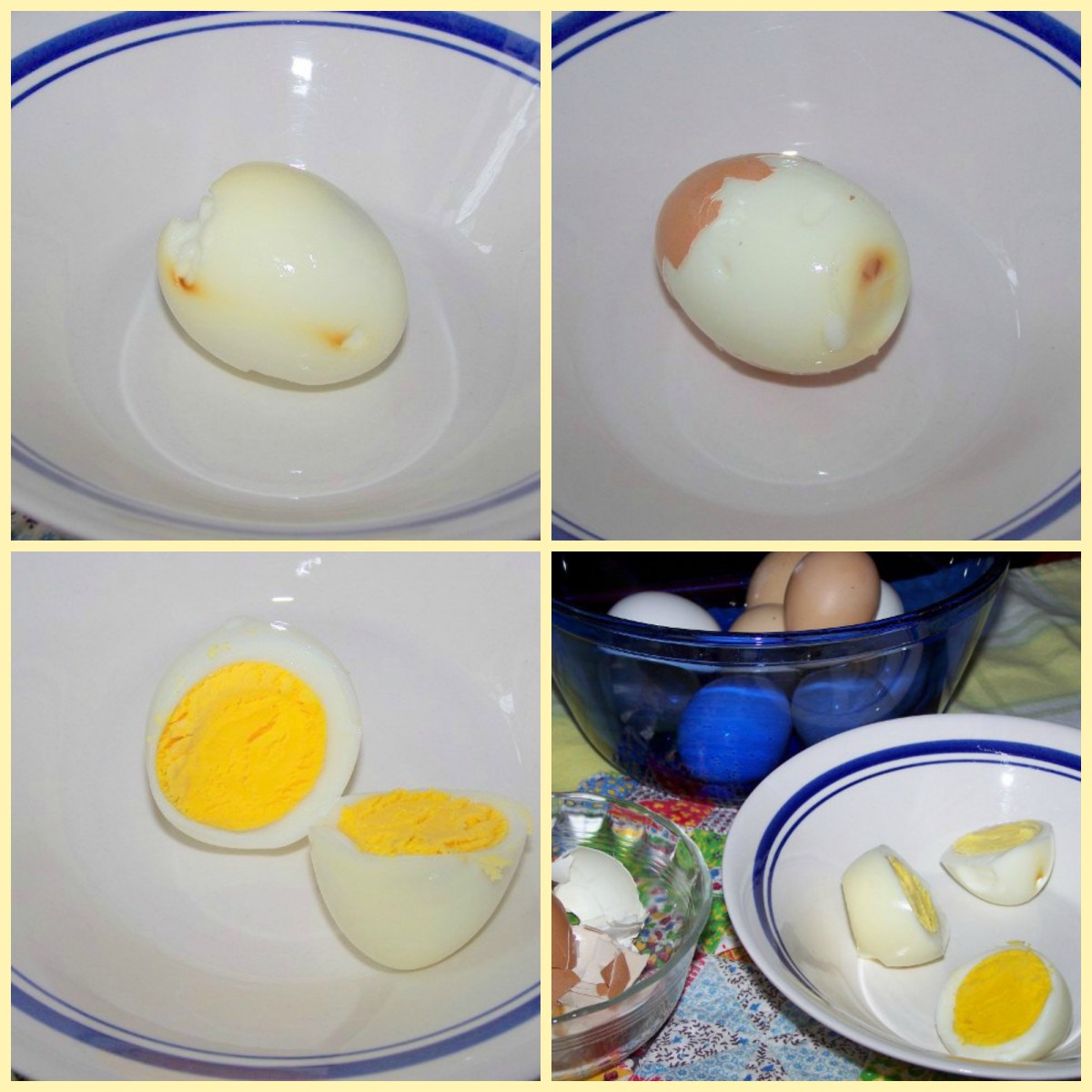 Crack and shelled eggs
