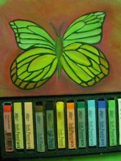 How to draw and color a butterfly using soft pastels
