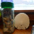 Large Sand dollar and glass container filled with seashells.