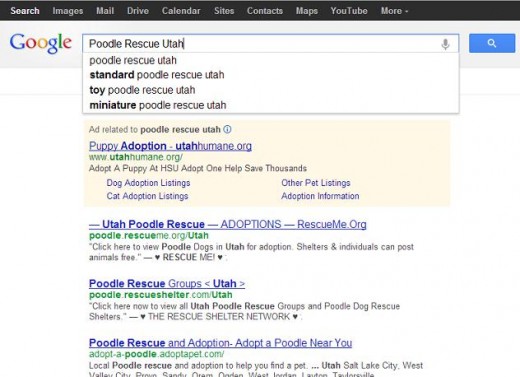 If the dog is a recognizable breed, see if there is a rescue group in your city or state.