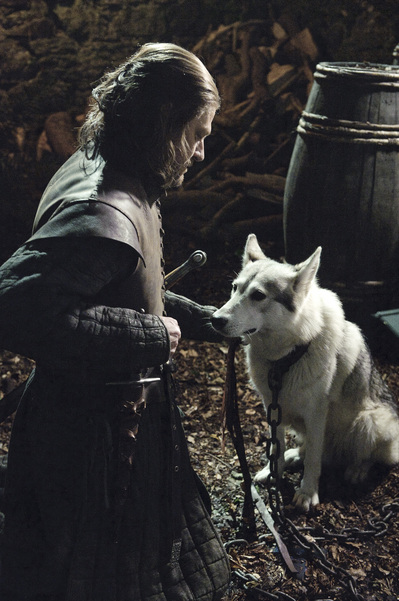 Ned Stark and the direwolf, Lady
