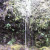 Trickle Falls over a mossy rock wall. Trickle Falls over a mossy rock wall.