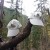 Our new TrailDudes trail hats sitting out in nature. Our new TrailDudes trail hats sitting out in nature.