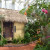 One of the neat educational displays in the Madagascar Orchid show. A native hut with orchids. One of the neat educational displays in the Madagascar Orchid show. A native hut with orchids.