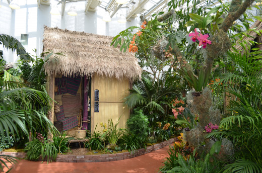 One of the neat educational displays in the Madagascar Orchid show.  A native hut with orchids.