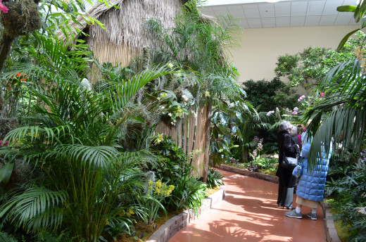 So many people come to enjoy the beauty of the orchids at these orchid shows.  I can't blame them, and I am one of them!