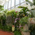 Amazing displays of orchids. I am always amazed at the incredible job the team does that makes this show happen. Amazing displays of orchids. I am always amazed at the incredible job the team does that makes this show happen.