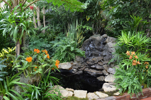 Beautiful indoor pond display in the Madagascar Orchid show in Missouri, 2013.