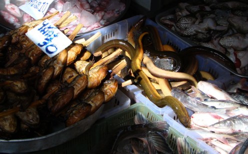 More Asian delights are available - grilled frog on a stick, live eel and raw frog.