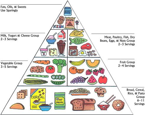 Healthy Diet
