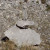 Inukshuk on Side of Road through the Frank Slide