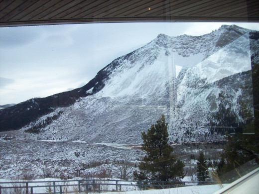 Looking out the window.