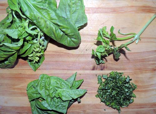 Basil-left to right, top to bottom--prep