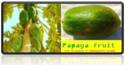 Papaya Benefits: Health and Nutrition