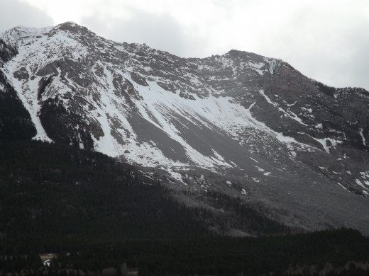 Panoramic View 1