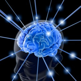 https://usercontent2.hubstatic.com/7866683_f260.jpg