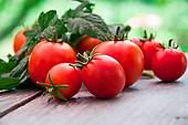 cherry tomatoes