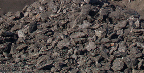 Lignite coal is an important source for humus.  It is being used in commercial agriculture to boost plant growth. 