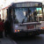MUNI Bus MUNI Bus