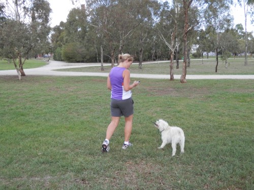Find out how much exercise the owner expects.
