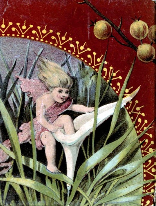 Types of Fairies hubpages