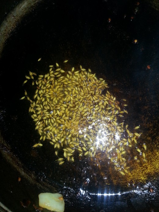 Pour Oil in frying pan and put some cumin seeds when oil is hot