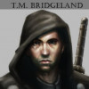 tmbridgeland profile image