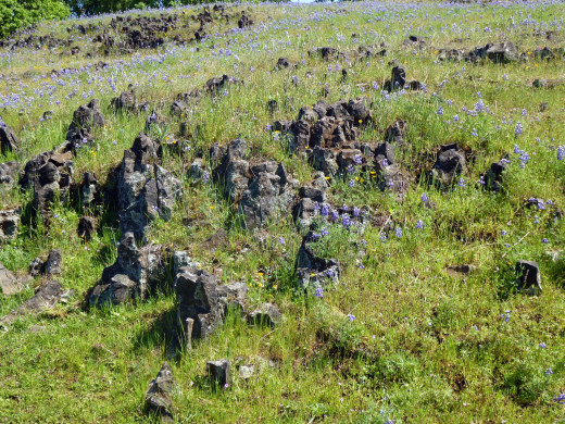 Lava outcroppings