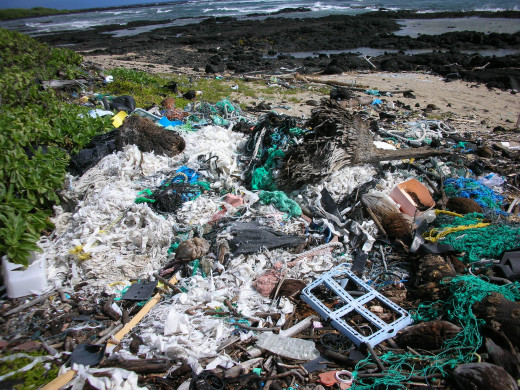 A Hawaiian Beach Plastic Pile-Up 