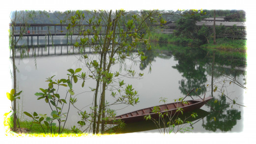 Seletar Reservoir