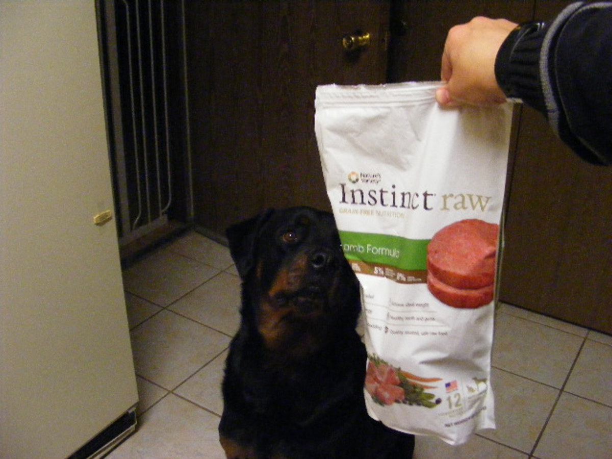 Review: Nature's Variety Instinct Raw Diet for Dogs