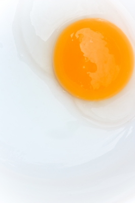 The egg's membrane separates the inside of the egg from the shell.