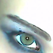ishtariraq profile image