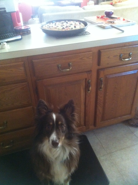 While the pizza is cooling, make sure you have a faithful watch dog stand guard.