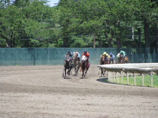 Dueling Horses Round The Final Bend at Monmouth Park, New Jersey