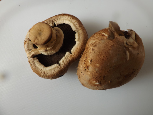 Cremini Mushrooms