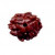 3 Mukhi Rudraksha